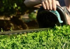 Heg snoeien Heg snoeien