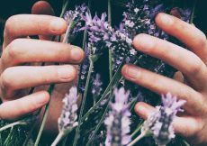 Vieze geurtjes verwijderen doe je zo! Vieze geurtjes verwijderen doe je zo!