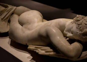 Wat is hermafrodiet?