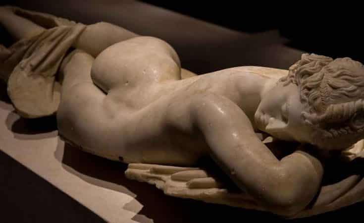 Wat is hermafrodiet?