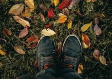 Vanaf wanneer de tuin winterklaar maken? Vanaf wanneer de tuin winterklaar maken?