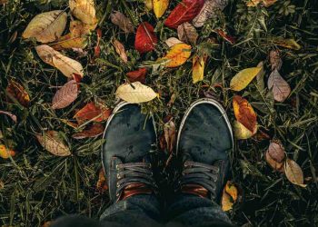 Vanaf wanneer de tuin winterklaar maken?