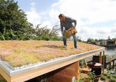 De voordelen van een groen dak! De voordelen van een groen dak!