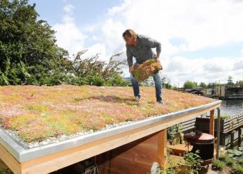 De voordelen van een groen dak!