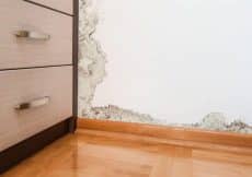 Vocht in huis oplossen Vocht in huis oplossen