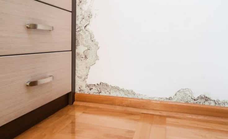 Vocht in huis oplossen