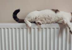 Designradiatoren voor het hele huis Designradiatoren voor het hele huis