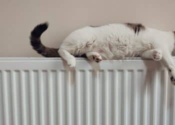 Designradiatoren voor het hele huis