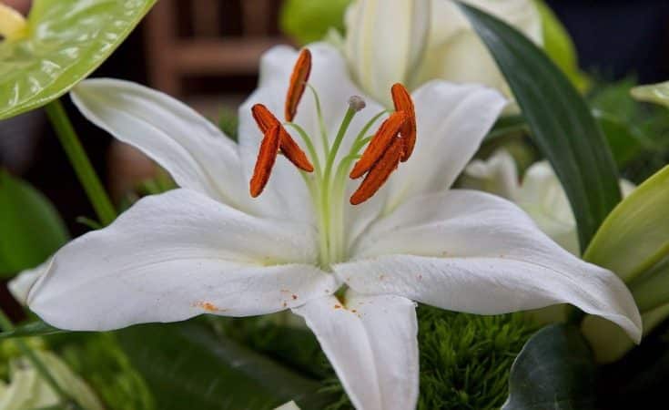 Erfenis in 2021: alles wat je moet weten! Erfenis in 2021: alles wat je moet weten!