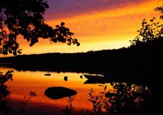 Vakantie in Zweden met kinderen