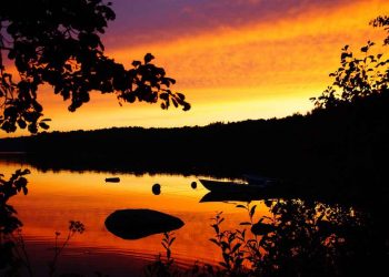 Vakantie in Zweden met kinderen