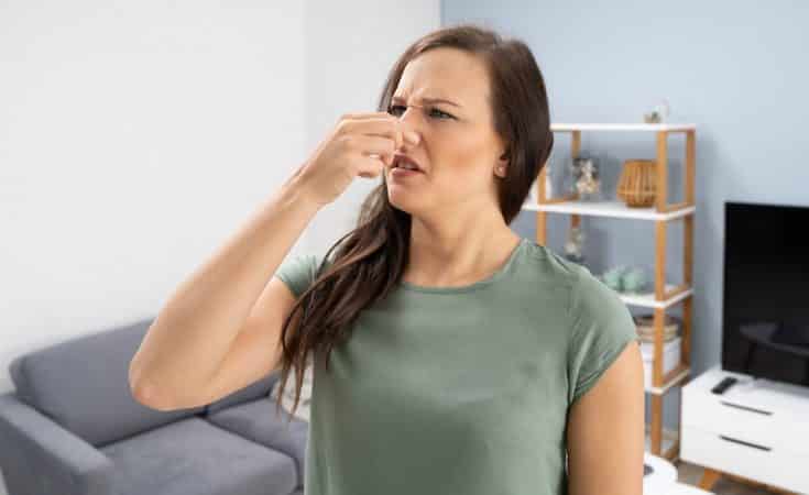 Hoe krijg je die vervelende geur uit je woning? Hoe krijg je die vervelende geur uit je woning?