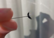 Het belang van goede ramen voor energie-efficiëntie